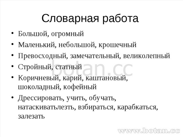 Презентация к уроку русского языка на тему Сочинение - описание Как я ...