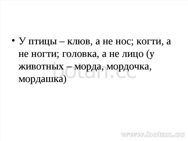 Презентация к уроку русского языка на тему Сочинение - описание Как я ...