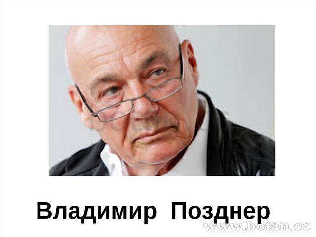 Владимир Позднер