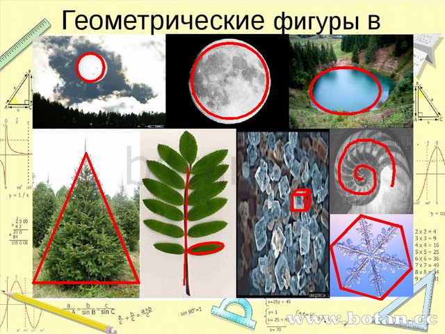 Геометрия в жизни человека проект