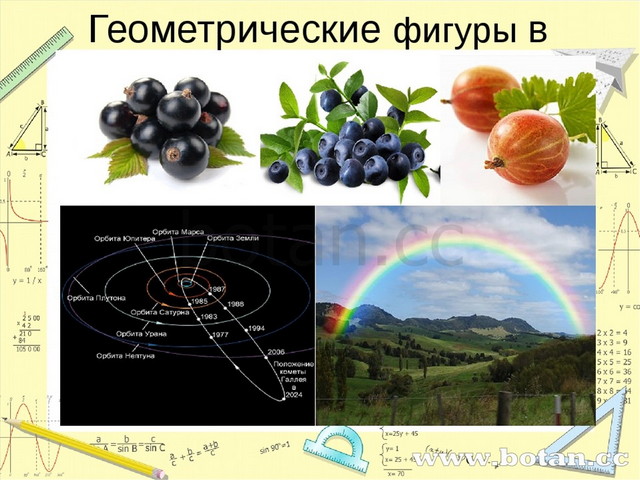 Геометрия в жизни человека проект