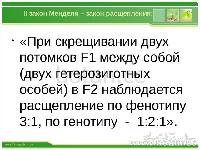 Почему в реальной жизни очень часто встречаются отклонения от законов г менделя