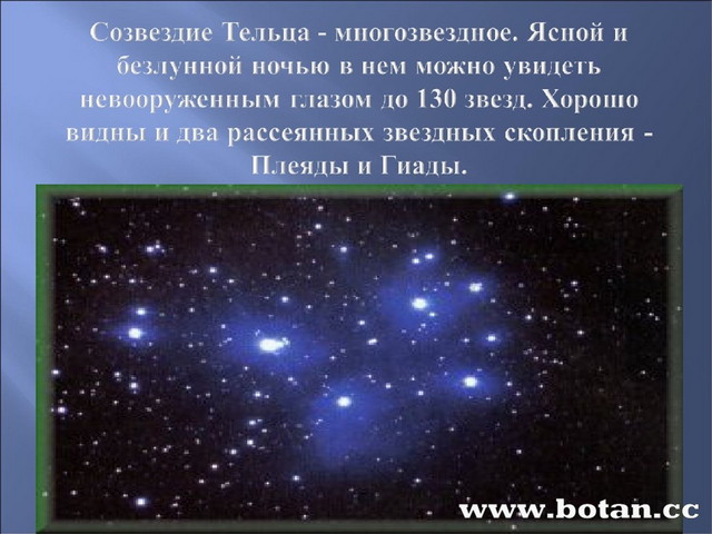 Созвездие тельца какие звезды. Созвездие тельца. Созвездие тельца звезды. Сообщение о созвездии Телец. Самая яркая звезда в созвездии тельца.