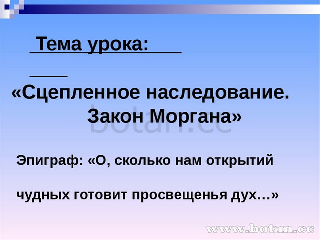 Циклическая презентация на свободную тему 6 класс