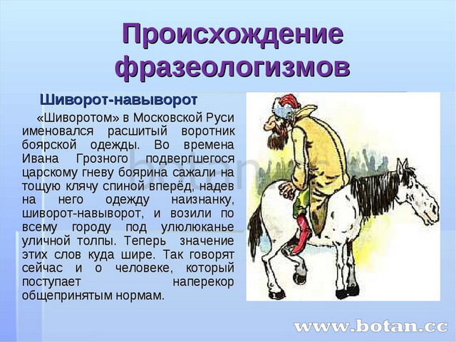 Проект по русскому языку 6 класс на тему фразеологизмы с названиями животных