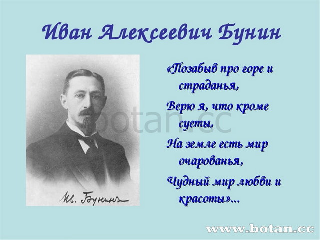 Иван Алексеевич Бунин «Позабыв про горе и страданья, Верю я, что кроме суеты,...