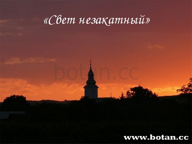 «Свет незакатный»