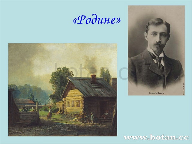 «Родине»