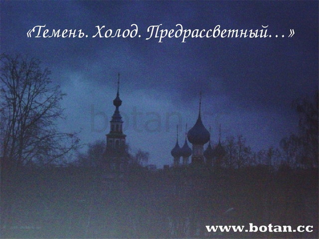 «Темень. Холод. Предрассветный…»