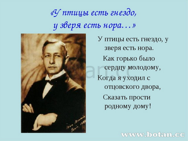 «У птицы есть гнездо, у зверя есть нора…» У птицы есть гнездо, у зверя есть н...