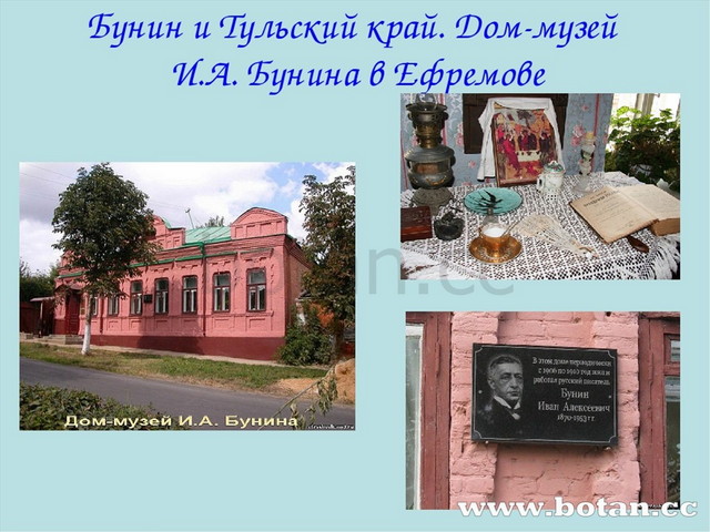 Бунин и Тульский край. Дом-музей И.А. Бунина в Ефремове
