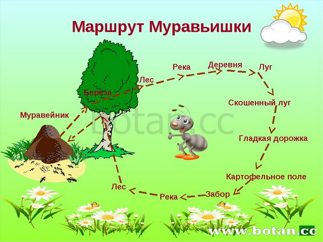 Картинка муравьишки вопросика из окружающего мира