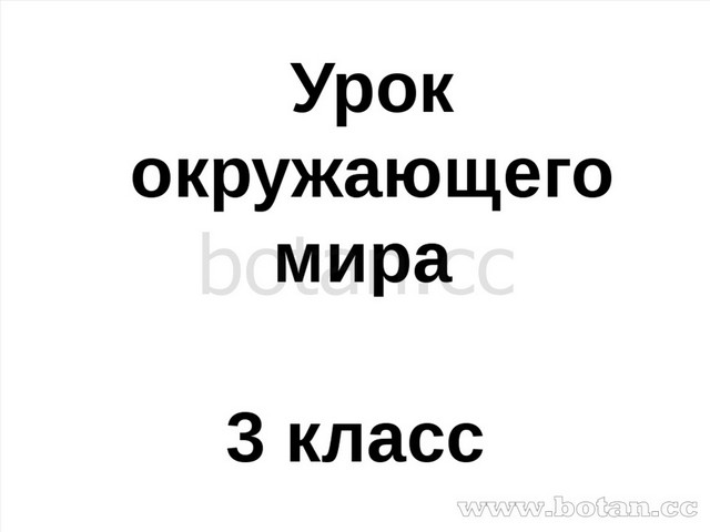 3 класс природа и наша безопасность презентация