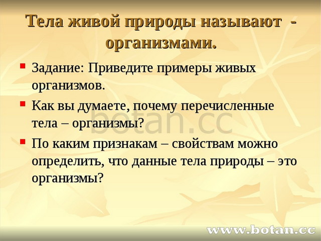 Воздействие человека на природу земли 5 класс презентация