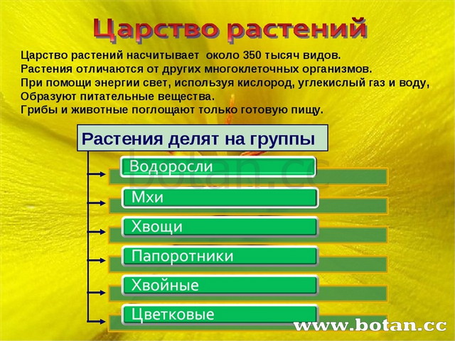 Презентация жизнь на земле 5 класс