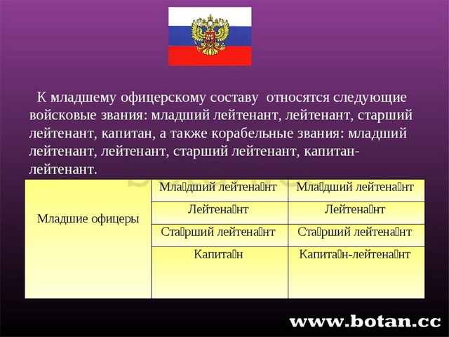 Презентация российская федерация 11 класс