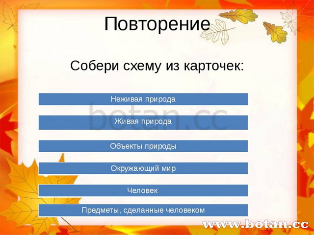 5 класс повторение в конце года презентация