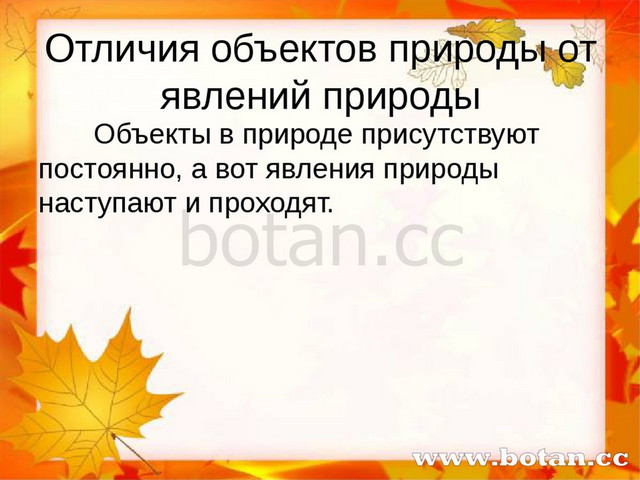 Презентация итоги года 1 класс