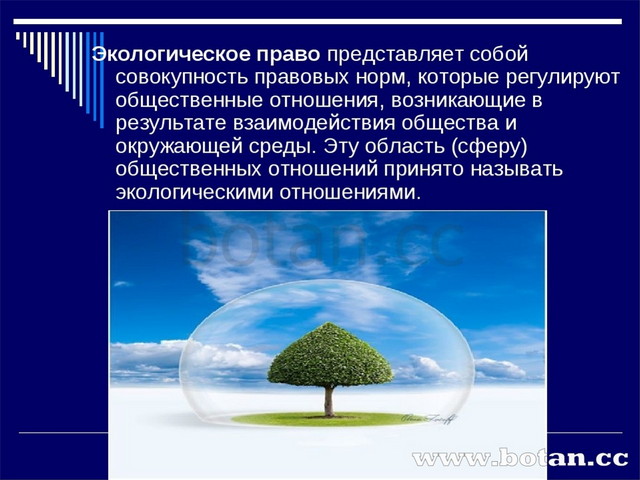 11 класс обществознание экологическое право презентация