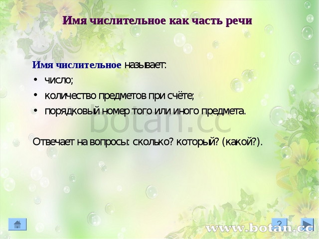 Проект на тему имя числительное по русскому языку 6 класс