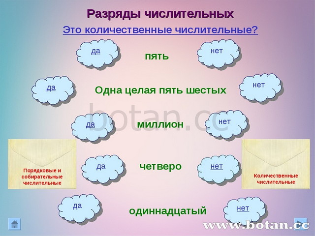 Проект на тему имя числительное по русскому языку 6 класс