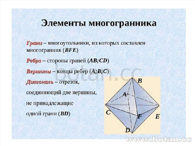 Презентация на тему правильные многогранники 10 класс