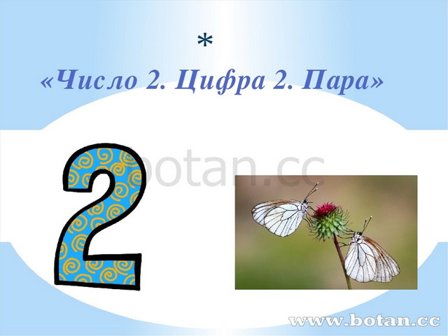 Презентация цифра 2. Число и цифра 2. Число 2 цифра 2. Презентация число 2. Число и цифра 2. понятие «пара»..