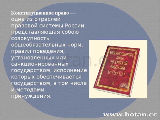 Урок конституционное право 10 класс презентация