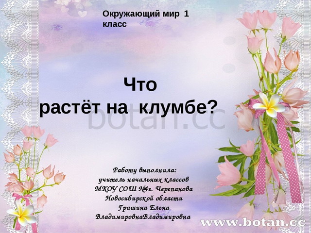Что растет на клумбе. Проект что растет на клумбе 1 класс. Цветы которые растут на клумбе. Клумба презентация. Что растет на клумбе окружающий мир 1 класс презентация.