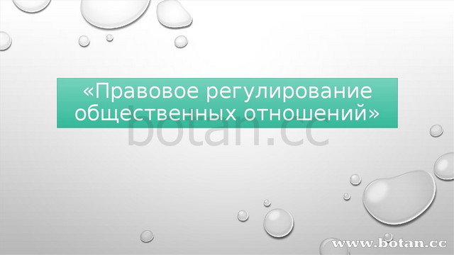 Презентация правовое регулирование отношений в сфере образования 9 класс боголюбов фгос