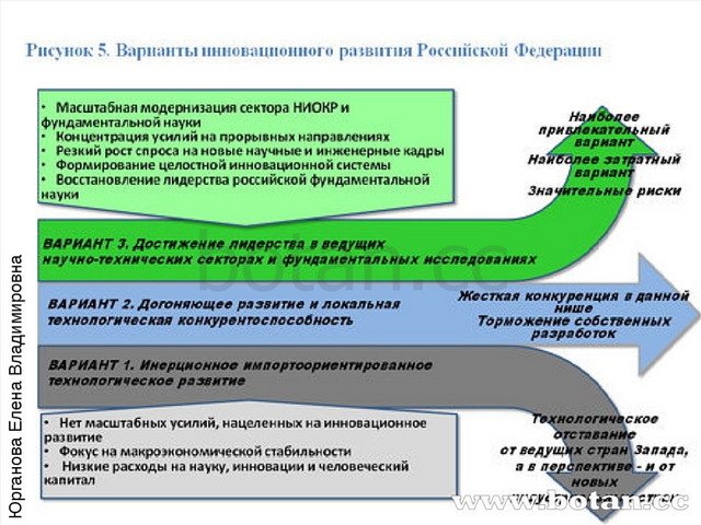 Инвестиционная деятельность организации презентация