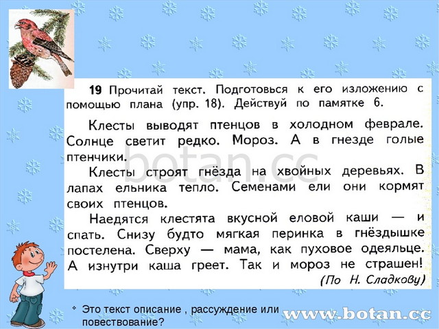 3 текста описание повествование рассуждение. Составить текст описание. Текст описание 3 класс. Небольшой текст описание. Текст описание пример.