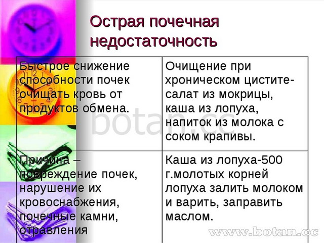 Проект кожа типирование уход возрастные изменения заболевания улучшение состояния 8 класс