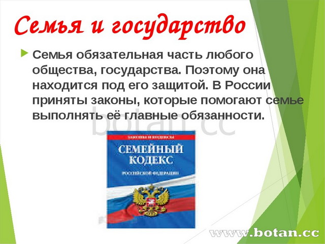 Под защитой государства. Семья и государство. Крепкая семья основа государства. Семья под защитой закона. Важность семьи для государства.