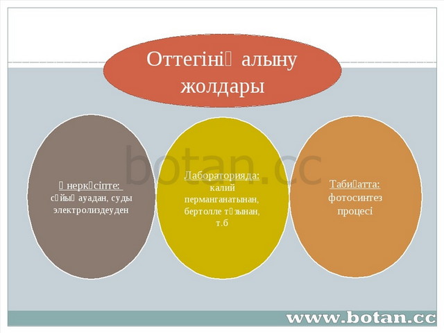 Жасыл химияның 12 принципі презентация