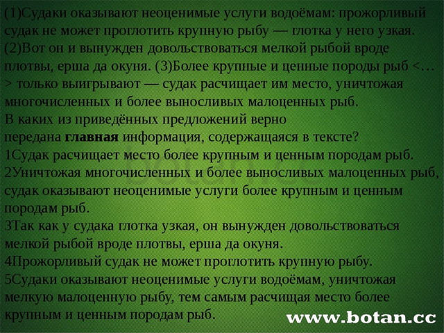 (1)Судаки оказывают неоценимые услуги водоёмам: прожорливый судак не может п...