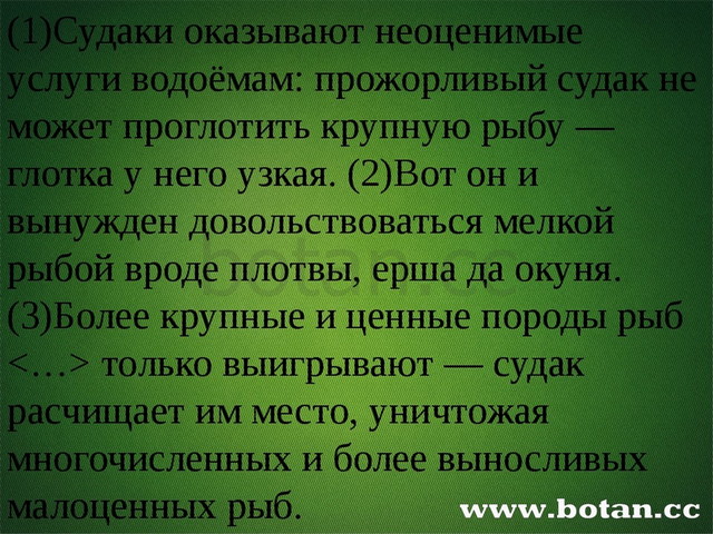 (1)Судаки оказывают неоценимые услуги водоёмам: прожорливый судак не может п...