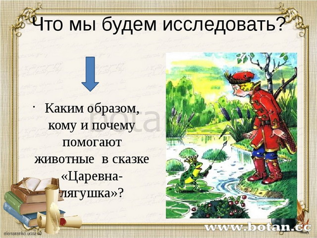 Что мы будем исследовать? Каким образом, кому и почему помогают животные в ск...