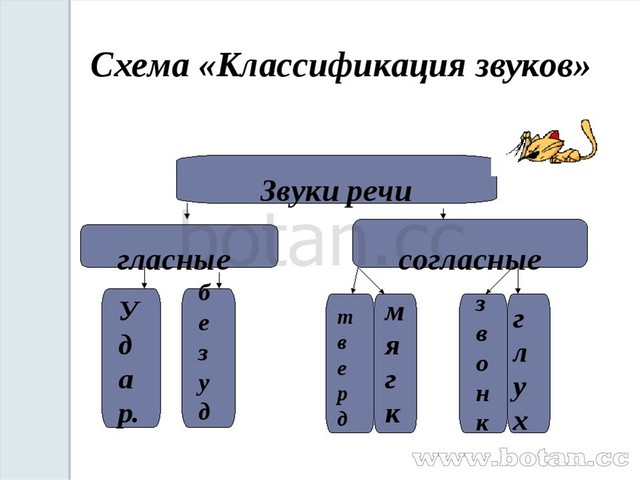 Орфография 7 класс повторение в конце года презентация