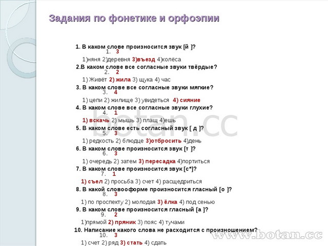 Фонетика орфоэпия 6 класс презентация