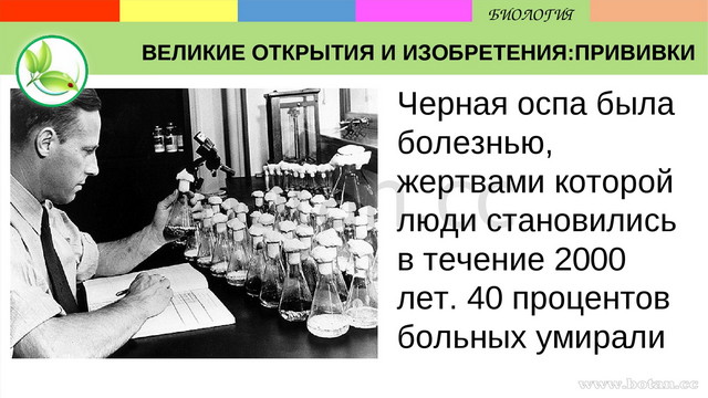 История изобретения вакцин работы э дженнера и л пастера проект