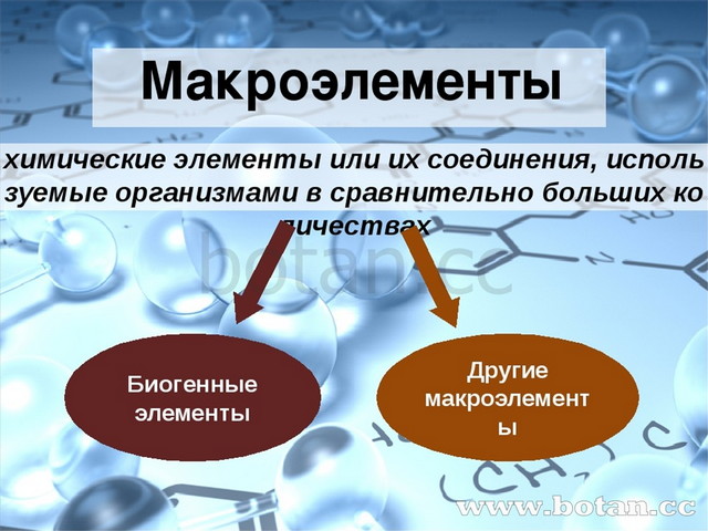 Химические макроэлементы. Макроэлементы. Макроэлементы элементы. Макроэлементы в организме человека.