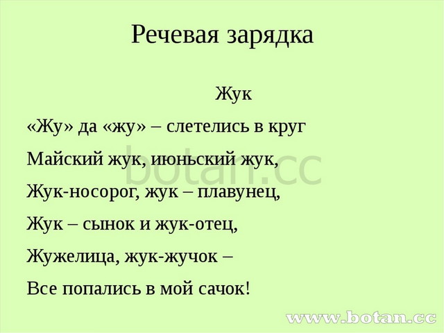 Барто жук 1 класс 21 век презентация