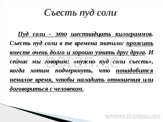 Пуд составленный единолично образец