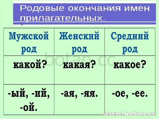 Безударные личные окончания глаголов 5 класс презентация