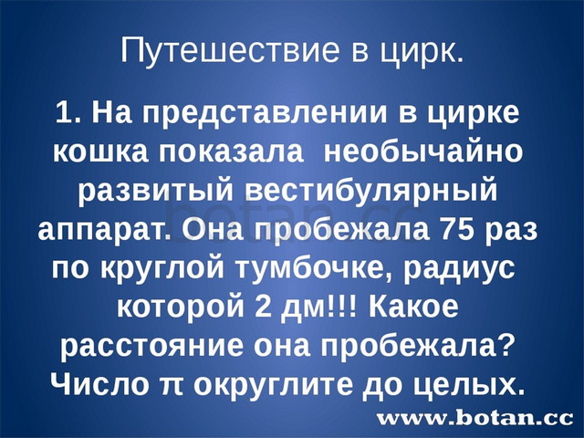 Путешествие в цирк. 1. На представлении в цирке кошка показала необычайно раз...