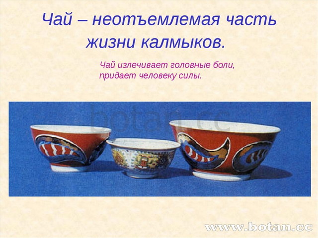 Чай – неотъемлемая часть жизни калмыков. Чай излечивает головные боли, придае...