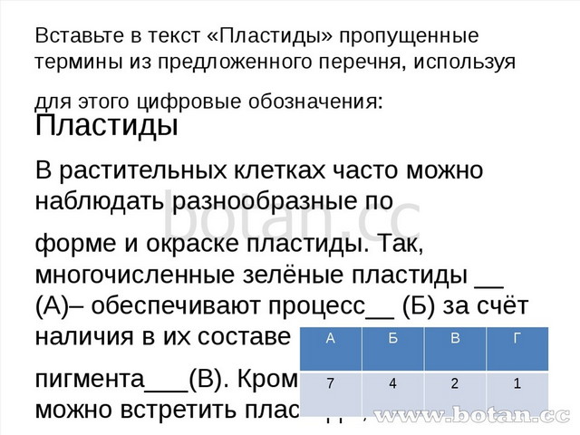 Вставьте в текст пропущенные термины из предложенного. Вставьте в текст пластиды пропущенные термины. Вставьте в текст пропущенные термины. Вставьте в текст пластиды. Вставьте в текст пропущенные термины из предложенного перечня.