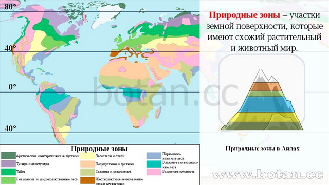 Самая большая природная зона земли