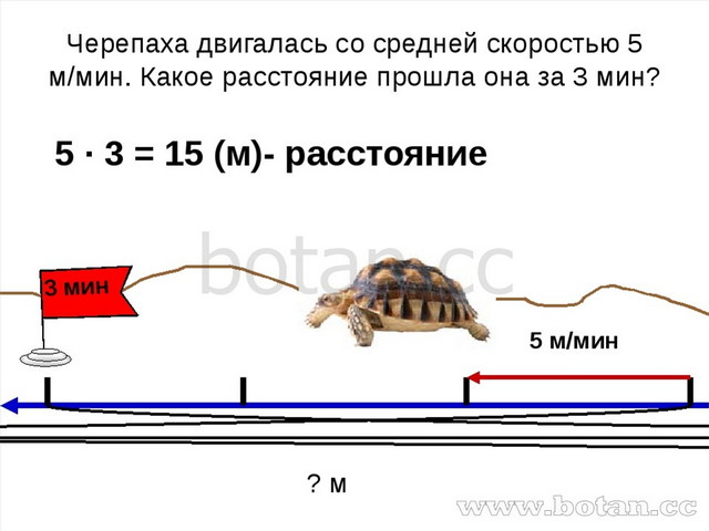 Как узнать скорость машины